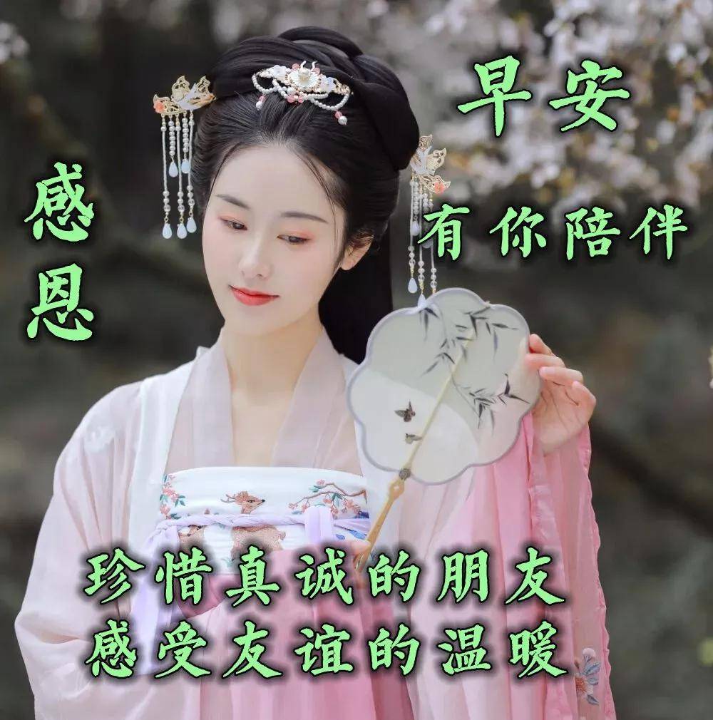 主力动向：9月13日特大单净流出35.77亿元