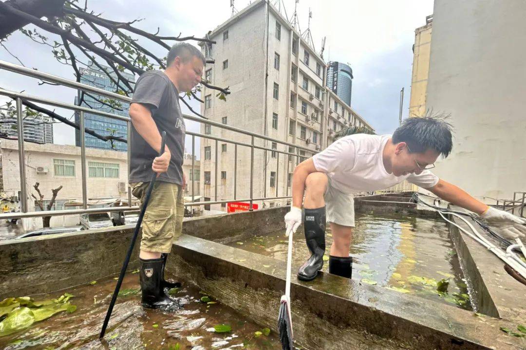 上海金融监管局:积极支持台风灾后重建 辖内财险公司已决案件2.89万件、已决赔款1.15亿元