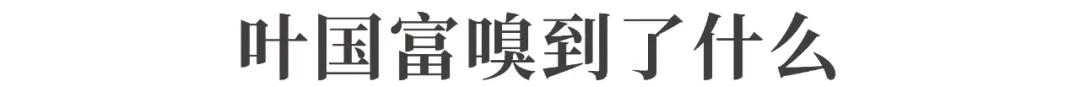 突然卖不动了?知名品牌股价闪崩,上半年中国市场销量下滑72%!欧美豪华品牌普遍遇冷,国产品牌受青睐