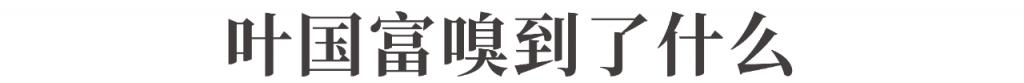 突然卖不动了?知名品牌股价闪崩,上半年中国市场销量下滑72%!欧美豪华品牌普遍遇冷,国产品牌受青睐