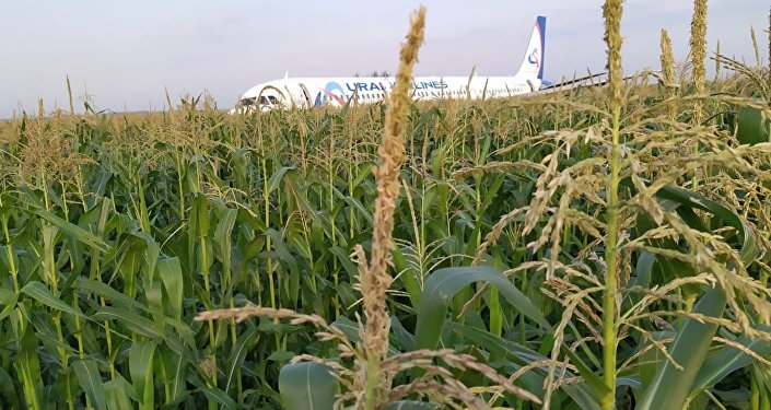 土耳其航空突发!飞行员执飞中死亡,飞机紧急降落!