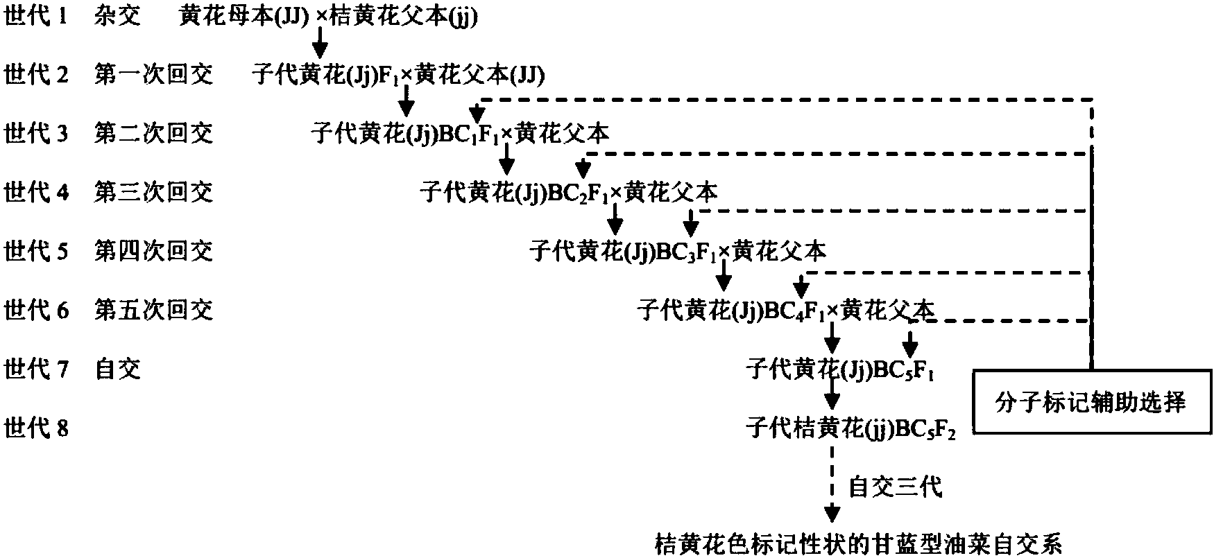 醋化股份获得发明专利授权：“一种新型乙腈催化剂及其制备方法”