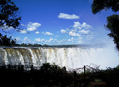 津巴布韦逮捕300多名非法采矿者