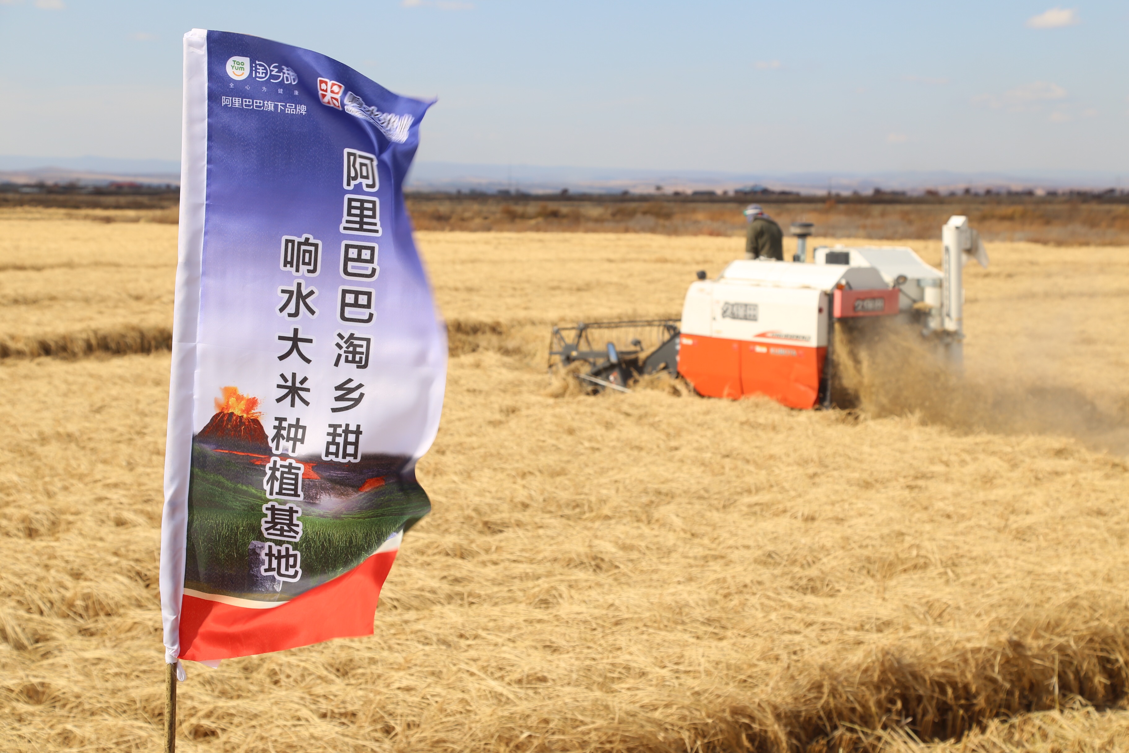 菲农业部长呼吁恢复国家粮食局职能来稳定大米价格