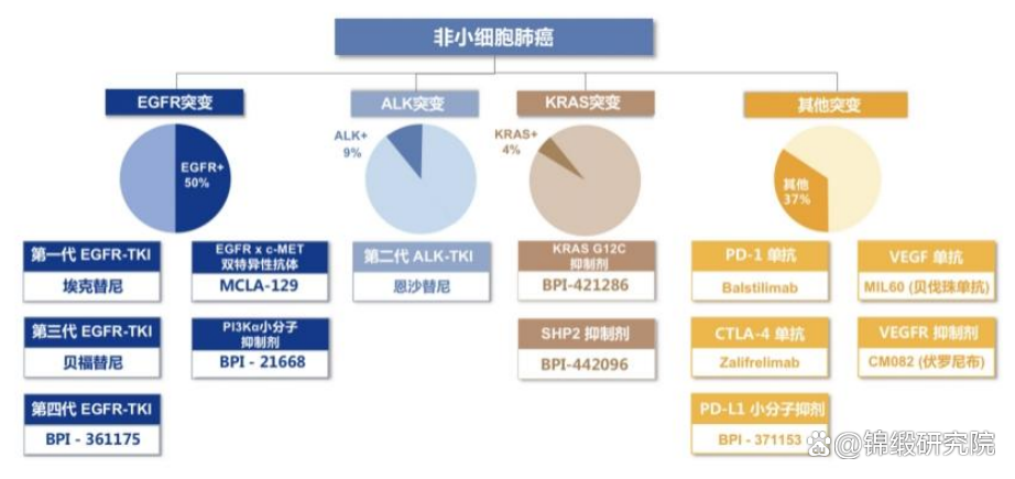 贝达药业：将在肺癌、乳腺癌等高发肿瘤领域争取更多新药上市