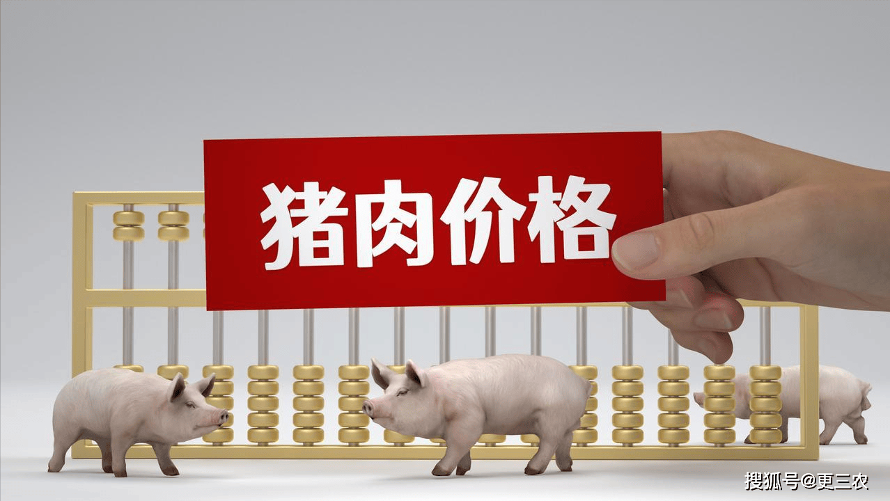 全行业面临阶段性亏损 猪价反弹能持续吗?