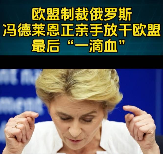 商务部新闻发言人就欧盟第19轮对俄制裁列单中国企业答记者问