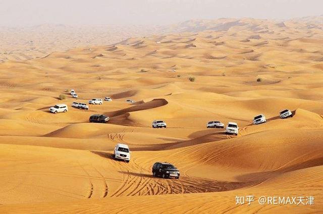 阿联酋―非洲旅游投资峰会强调旅游业在经济转型中的关键作用