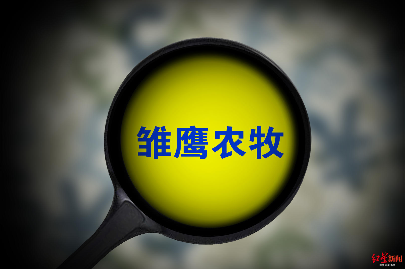 胜利股份、凌志软件重大资产重组预案披露