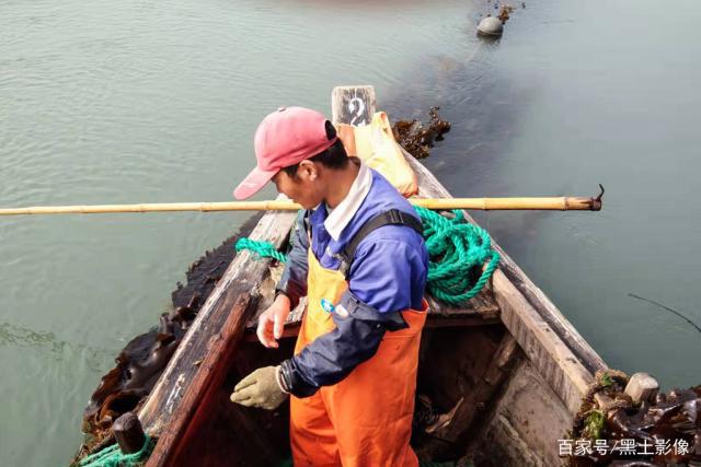 保险服务“出海”