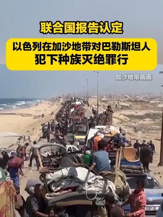 爱尔兰将选出新总统