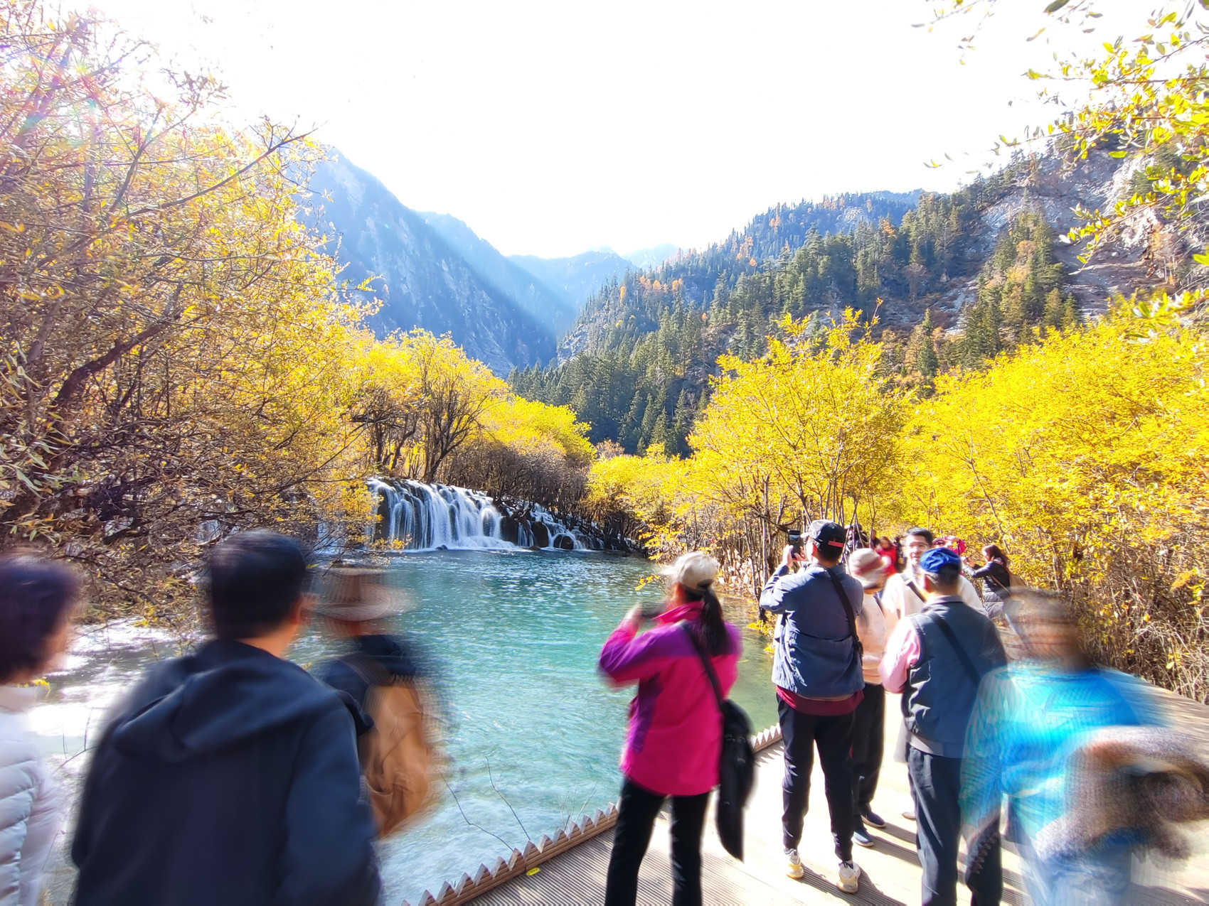 斯游客人数突破220万