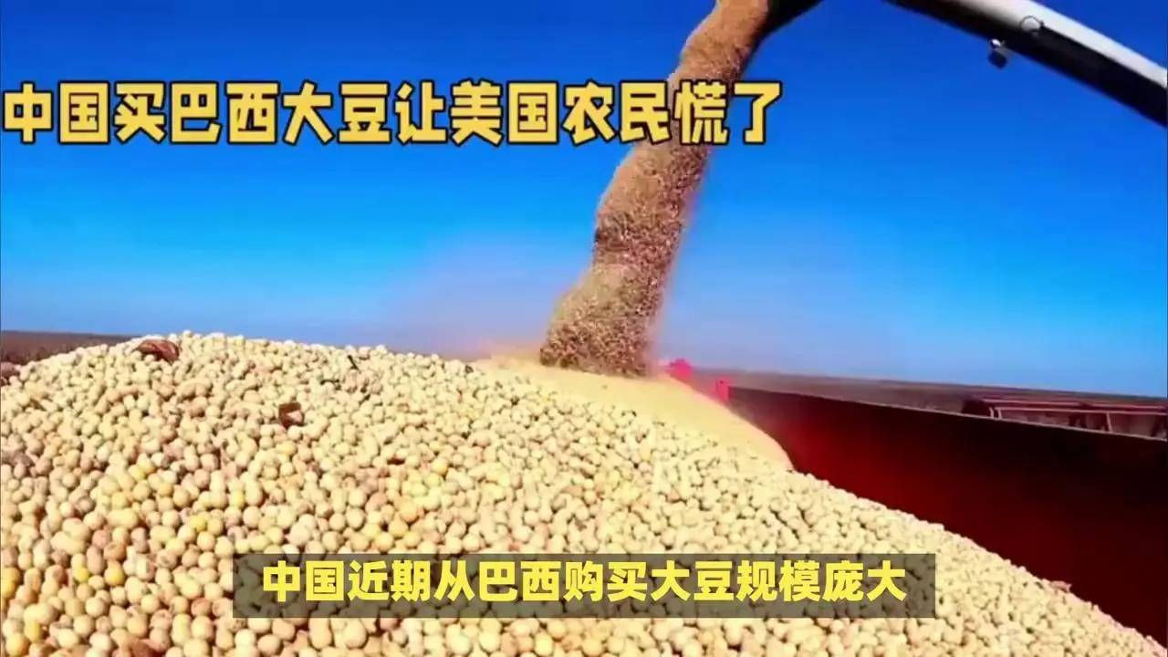 李成钢国际贸易谈判代表兼副部长会见美国苹果公司首席运营官萨比赫・汗