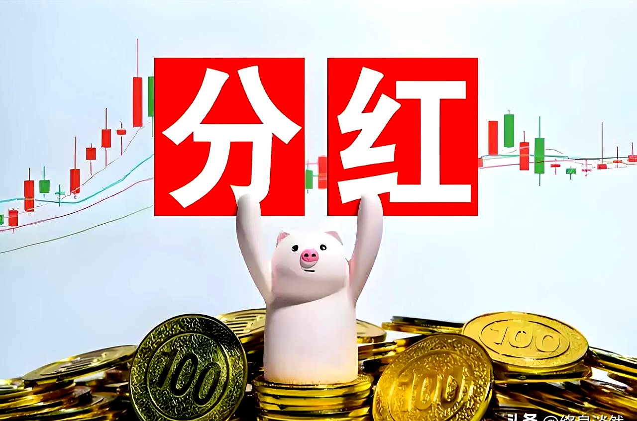 新集能源：拟实施2025年特别分红 每10股派发现金红利0.5元