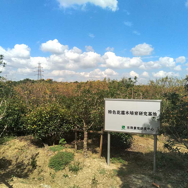 东珠生态:交易各方正在协商终止公司购买凯睿星通控制权事宜