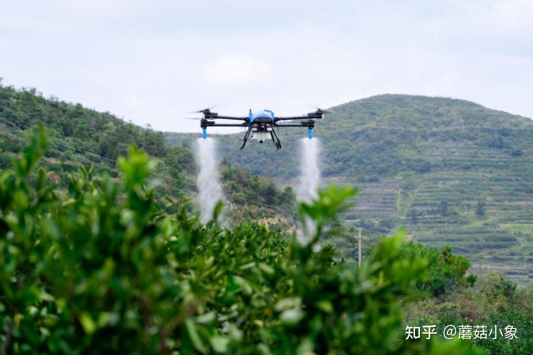 新华读报|“新农具”有新机遇!无人机、机器人首次写入中央一号文件