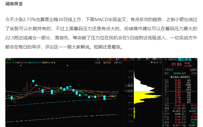 湖南黄金录得10天7板
