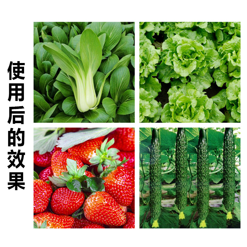 科技“壮苗” 田管有“智”更有“质”