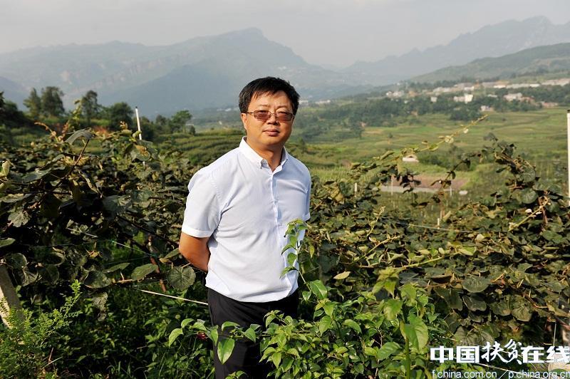 农发行副行长徐一丁被查