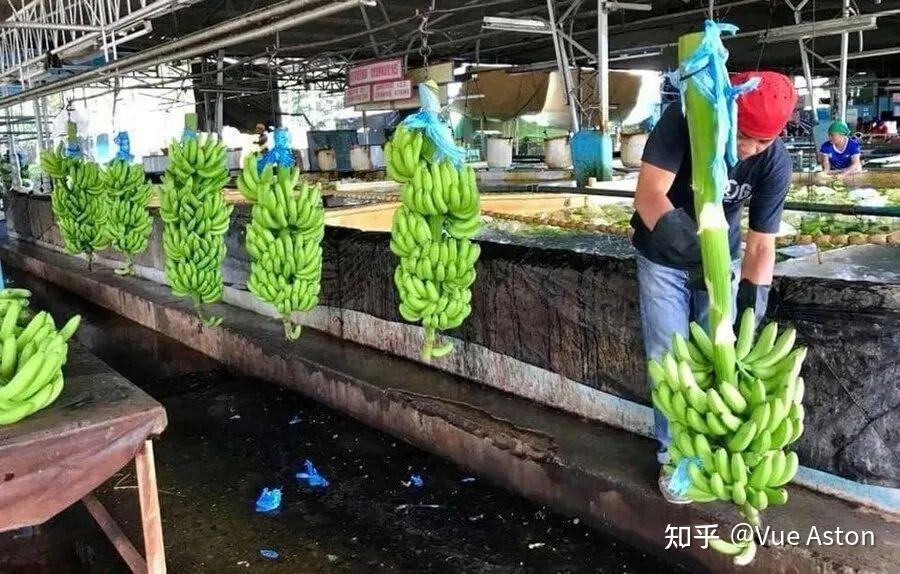 柬老签署跨境运输协议 协助柬农产品出口中国
