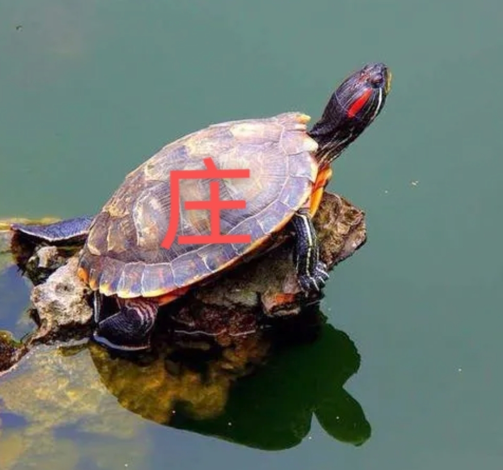 赤天化龙虎榜数据（3月6日）