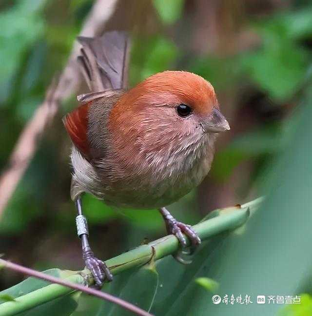 立方风控鸟·晚报(3月13日)