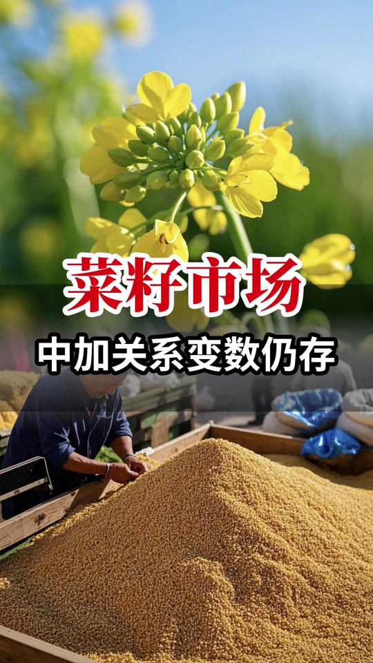 农业农村部:深入推进粮油作物大面积单产提升 推动“菜篮子”产业转型升级