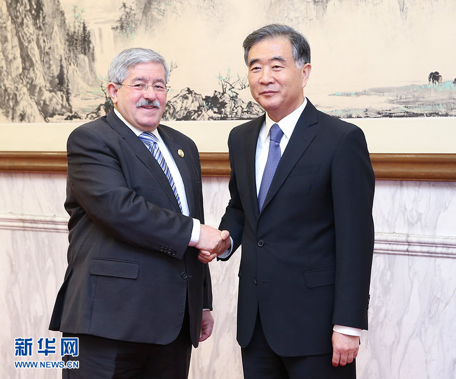 阿尔及利亚与欧盟深化能源伙伴关系,巩固天然气与氢能合作