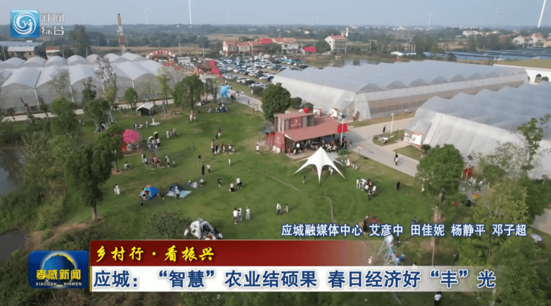 *ST步森:实际控制人拟变更为王波,澄清延丰数字与奥飞数据不存在业务联系