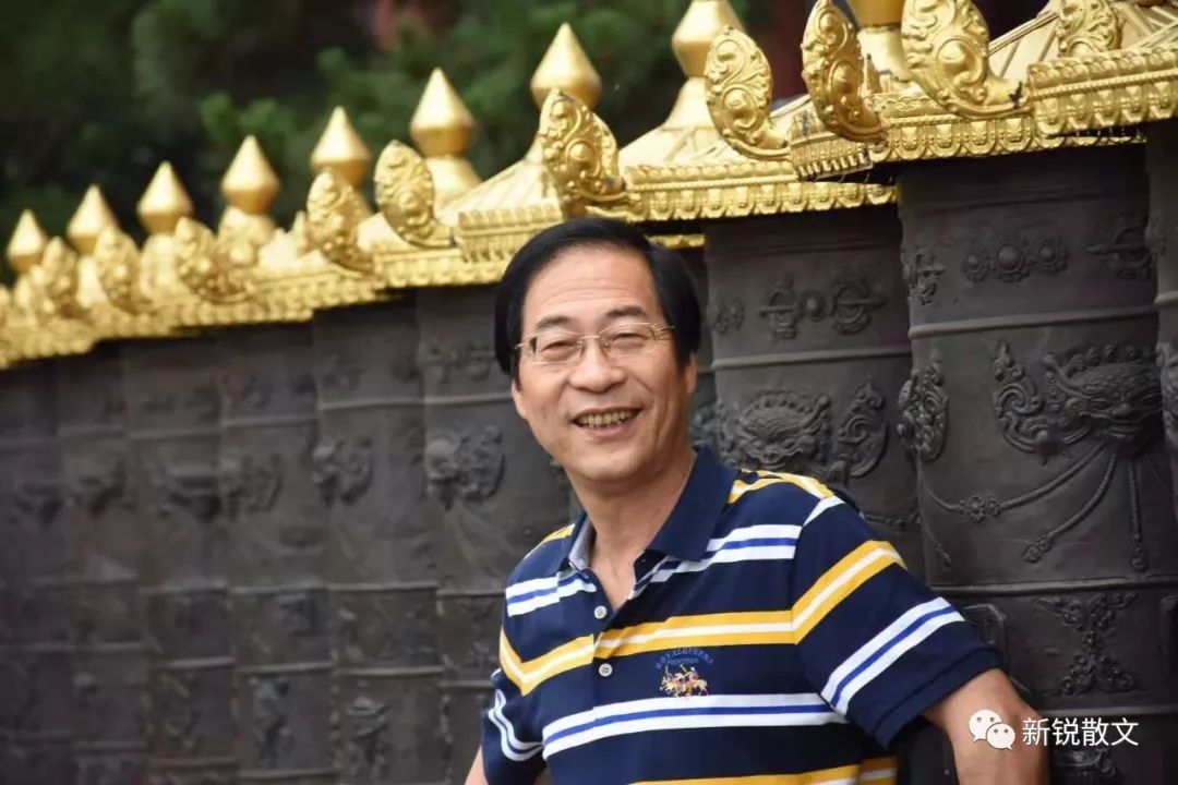 芦苇：一名邮储银行“新兵”眼中的发展潜力