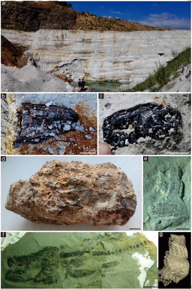 我科学家发现首个河外超紧致X射线双星