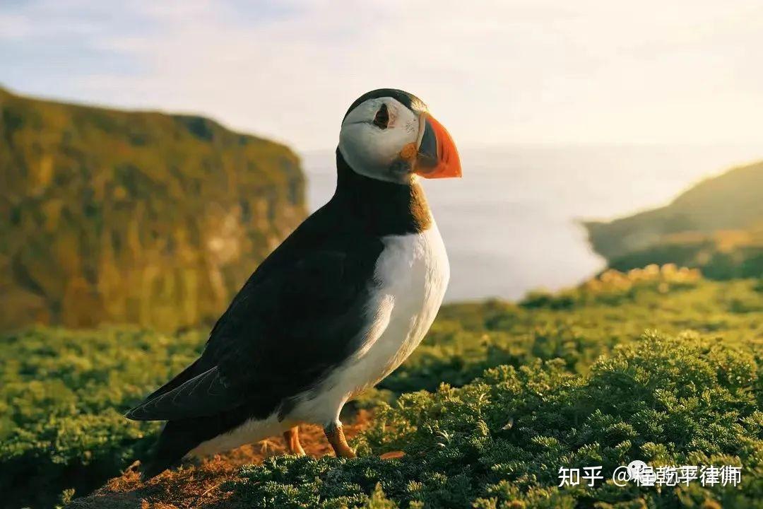 立方风控鸟·晚报(4月16日)