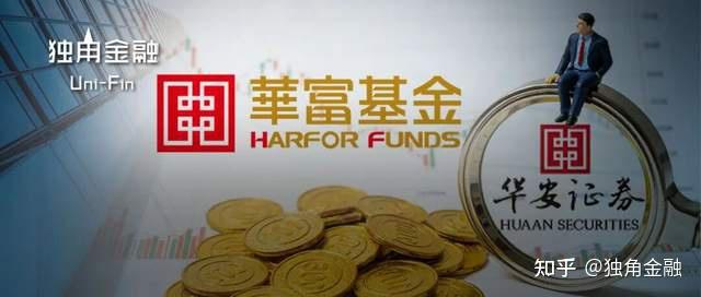 大华股份：拟使用不超15.00亿元自有资金进行国债逆回购投资