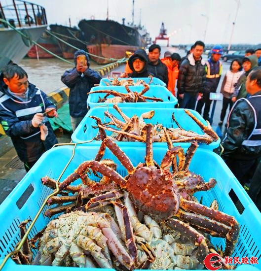 利比里亚橡胶加工商Jeety呼吁政府保障日供550吨湿橡胶，力争2028年实现国产轮胎