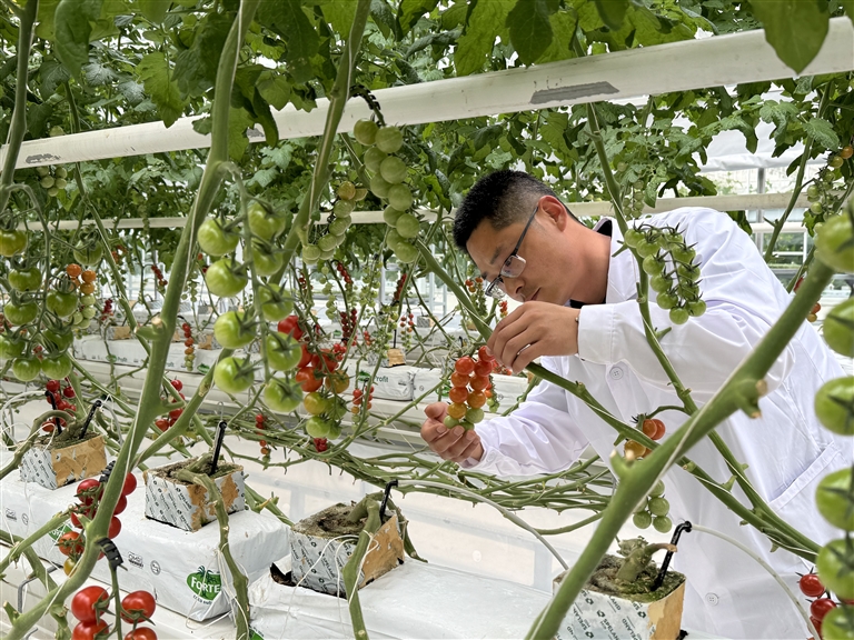 慧为智能净利润同比大增超300%,产能建设与资质认证双突破