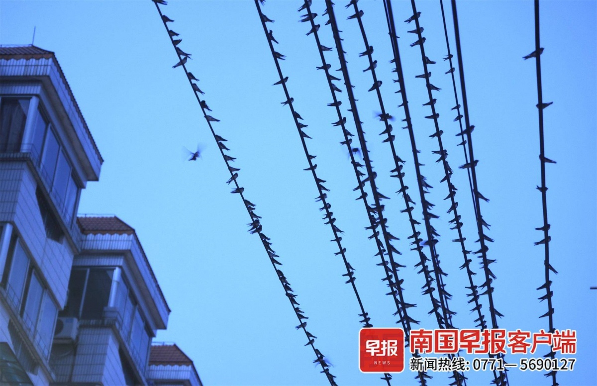 立方风控鸟·早报(4月25日)